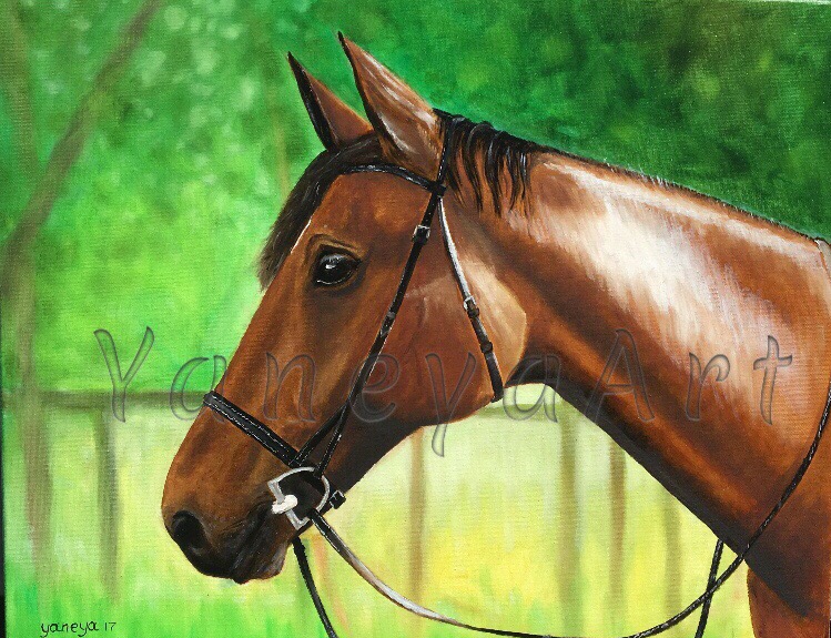 watermarked(2017-12-06-1235)-2